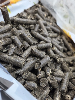 Pellet z łuski słonecznika